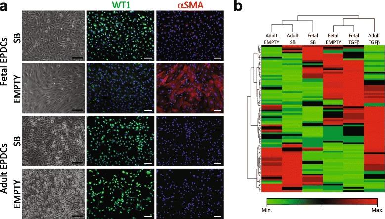 https://cdn.ncbi.nlm.nih.gov/pmc/blobs/5a35/5129650/39d1f1b9c6ae/13287_2016_434_Fig6_HTML.jpg