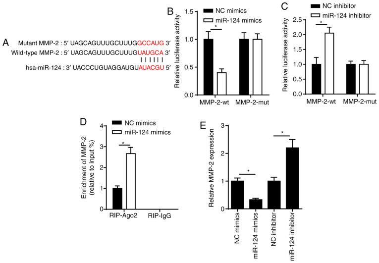 https://cdn.ncbi.nlm.nih.gov/pmc/blobs/5a35/7986009/266c64e12d98/mmr-23-05-12020-g03.jpg
