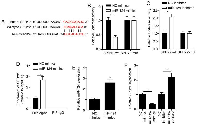 https://cdn.ncbi.nlm.nih.gov/pmc/blobs/5a35/7986009/872c468fce46/mmr-23-05-12020-g01.jpg