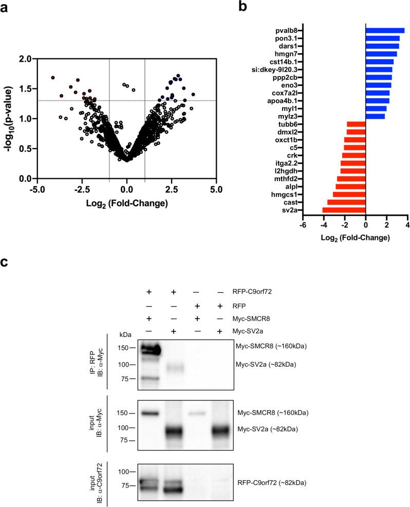 https://cdn.ncbi.nlm.nih.gov/pmc/blobs/5a39/8233344/336bb47912c3/42003_2021_2302_Fig7_HTML.jpg