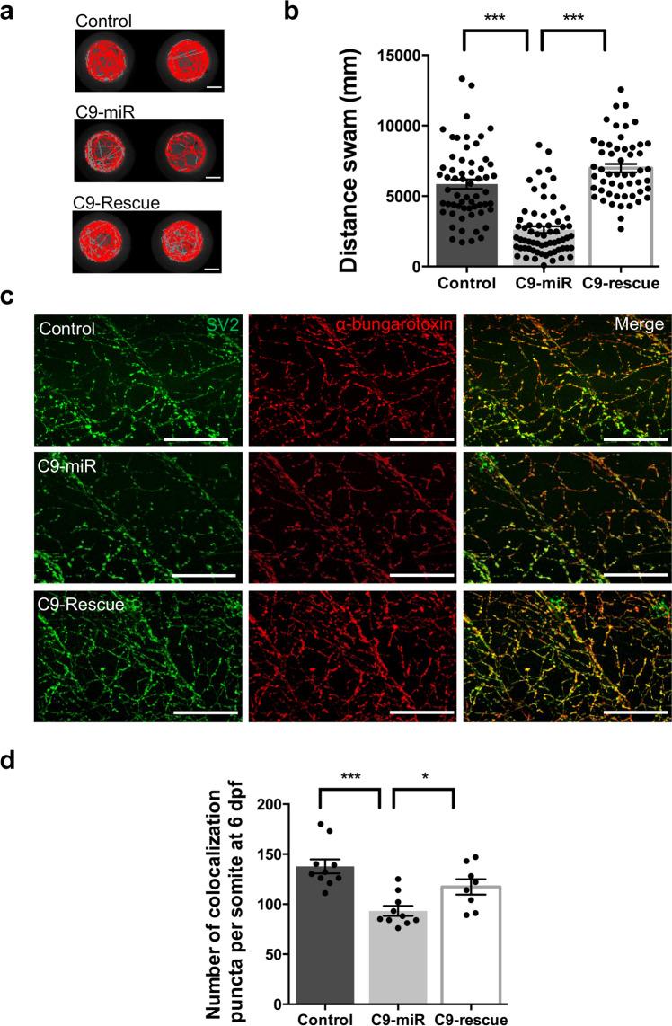https://cdn.ncbi.nlm.nih.gov/pmc/blobs/5a39/8233344/3514b5165e77/42003_2021_2302_Fig2_HTML.jpg