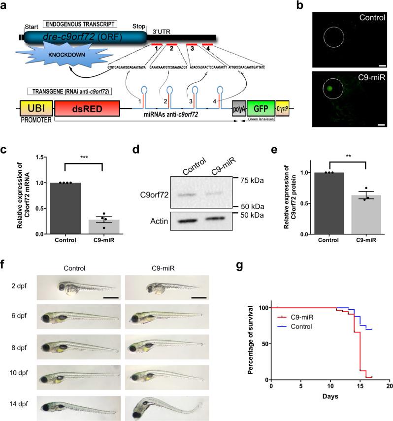 https://cdn.ncbi.nlm.nih.gov/pmc/blobs/5a39/8233344/7c0d81e51b1c/42003_2021_2302_Fig1_HTML.jpg