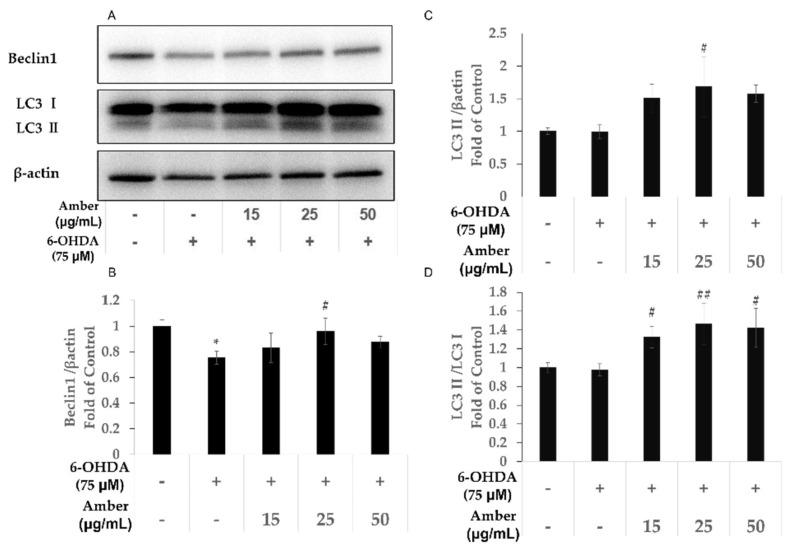 https://cdn.ncbi.nlm.nih.gov/pmc/blobs/5a3c/8956085/357def080e93/molecules-27-01817-g004.jpg
