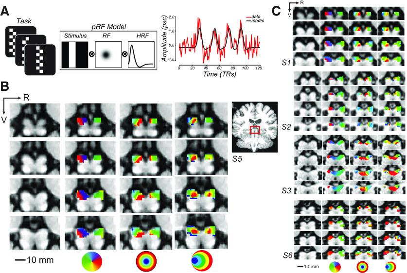 https://cdn.ncbi.nlm.nih.gov/pmc/blobs/5a3e/7724141/f60bdce83b31/SN-JNSJ200619F001.jpg