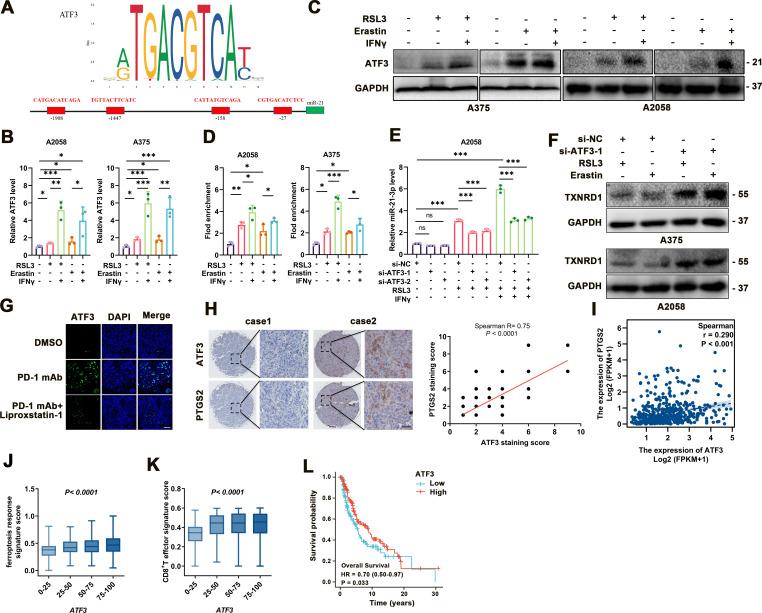 https://cdn.ncbi.nlm.nih.gov/pmc/blobs/5a41/9226924/3a9a4eb2dc17/jitc-2021-004381f07.jpg