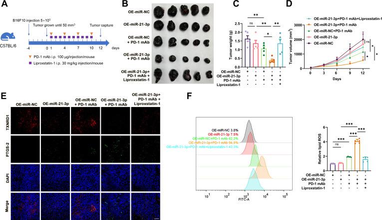 https://cdn.ncbi.nlm.nih.gov/pmc/blobs/5a41/9226924/5be36611d3c1/jitc-2021-004381f04.jpg
