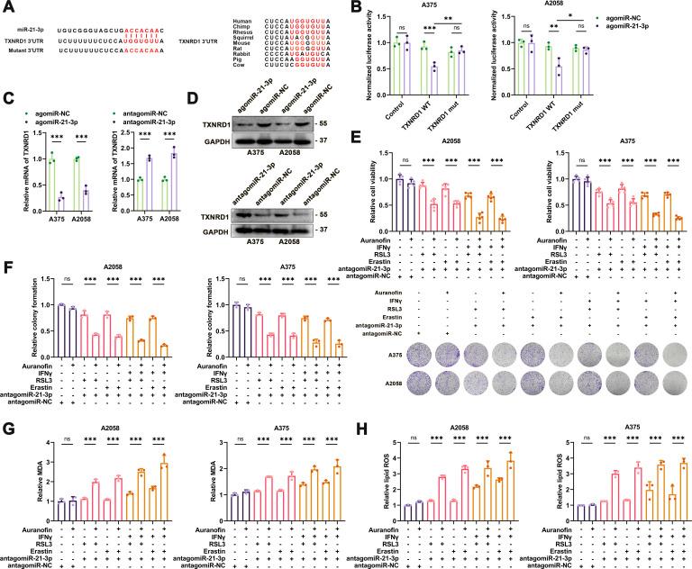 https://cdn.ncbi.nlm.nih.gov/pmc/blobs/5a41/9226924/8cafacd5e0f3/jitc-2021-004381f03.jpg