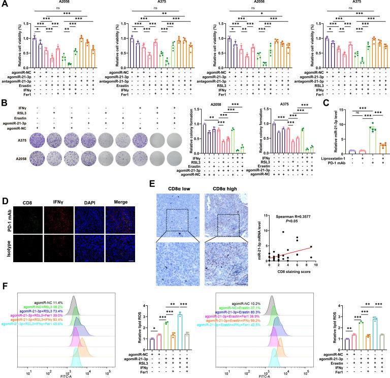 https://cdn.ncbi.nlm.nih.gov/pmc/blobs/5a41/9226924/a8dbd217991a/jitc-2021-004381f02.jpg