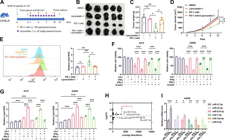 https://cdn.ncbi.nlm.nih.gov/pmc/blobs/5a41/9226924/c7092c035168/jitc-2021-004381f01.jpg