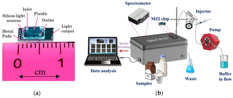 https://cdn.ncbi.nlm.nih.gov/pmc/blobs/5a42/10296510/26d8cdbb5392/biosensors-13-00592-g001.jpg