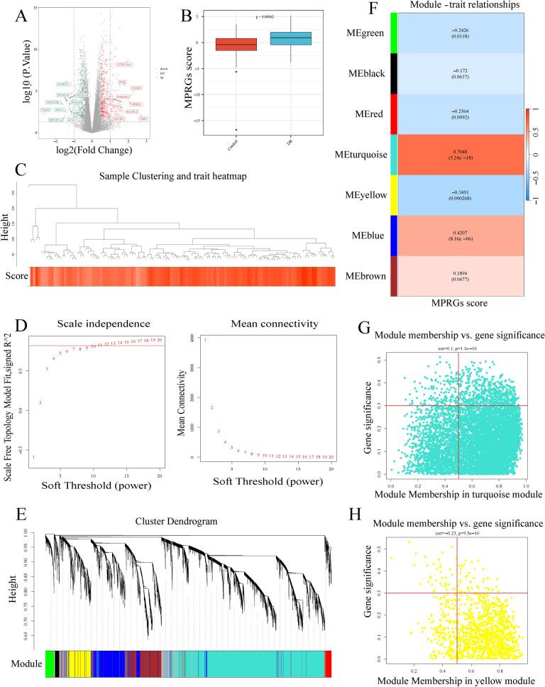 https://cdn.ncbi.nlm.nih.gov/pmc/blobs/5a44/11706200/3f1b1c31fc0c/12967_2024_6038_Fig1_HTML.jpg