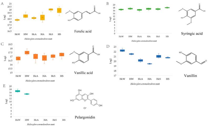 https://cdn.ncbi.nlm.nih.gov/pmc/blobs/5a45/11989357/35cc507b5abb/ijms-26-03300-g002.jpg