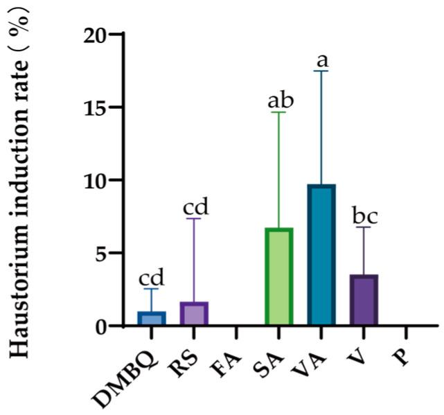 https://cdn.ncbi.nlm.nih.gov/pmc/blobs/5a45/11989357/eb11e32d409e/ijms-26-03300-g006.jpg