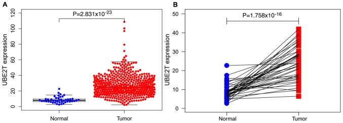 https://cdn.ncbi.nlm.nih.gov/pmc/blobs/5a46/7520753/1311fa5e7b17/ol-20-05-12138-g03.jpg