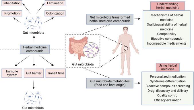 https://cdn.ncbi.nlm.nih.gov/pmc/blobs/5a48/10830735/04409ae57456/12272_2023_1484_Fig4_HTML.jpg