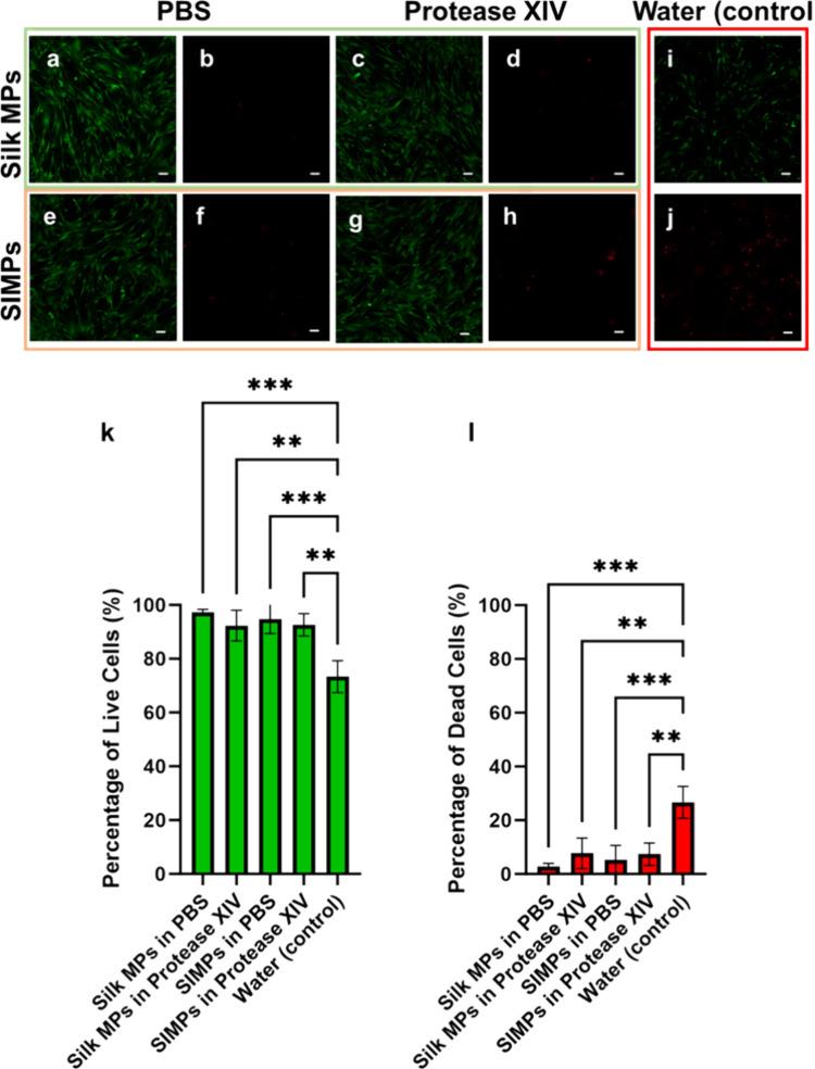 https://cdn.ncbi.nlm.nih.gov/pmc/blobs/5a48/11826889/144c477128eb/am4c17536_0011.jpg