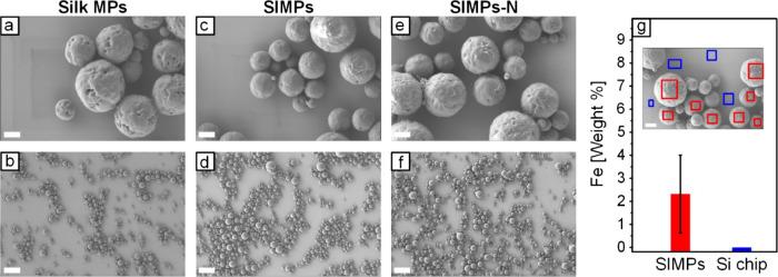 https://cdn.ncbi.nlm.nih.gov/pmc/blobs/5a48/11826889/b318264848c8/am4c17536_0003.jpg