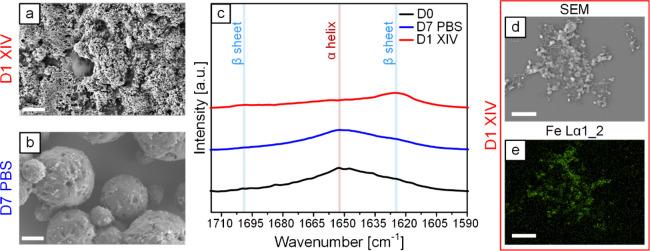 https://cdn.ncbi.nlm.nih.gov/pmc/blobs/5a48/11826889/cf1e27b6e9ad/am4c17536_0005.jpg
