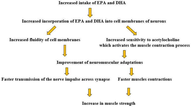 https://cdn.ncbi.nlm.nih.gov/pmc/blobs/5a4a/11643269/ba5456633b4b/nutrients-16-04075-g002.jpg