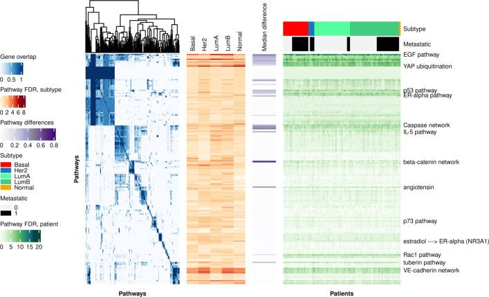 https://cdn.ncbi.nlm.nih.gov/pmc/blobs/5a4d/7953710/5ba2decd0322/13073_2021_845_Fig4_HTML.jpg