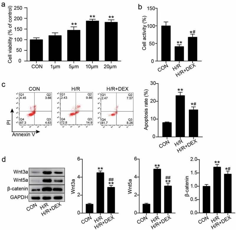 https://cdn.ncbi.nlm.nih.gov/pmc/blobs/5a4e/9275899/04b19e6c97ae/KBIE_A_2080420_F0001_OC.jpg