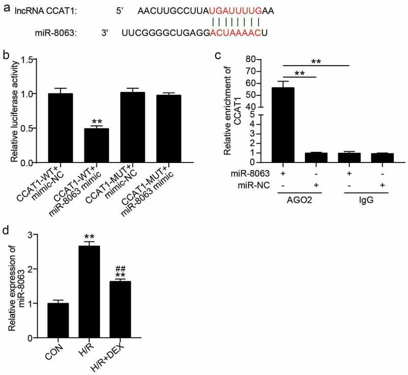 https://cdn.ncbi.nlm.nih.gov/pmc/blobs/5a4e/9275899/2c8a13c1832e/KBIE_A_2080420_F0004_OC.jpg
