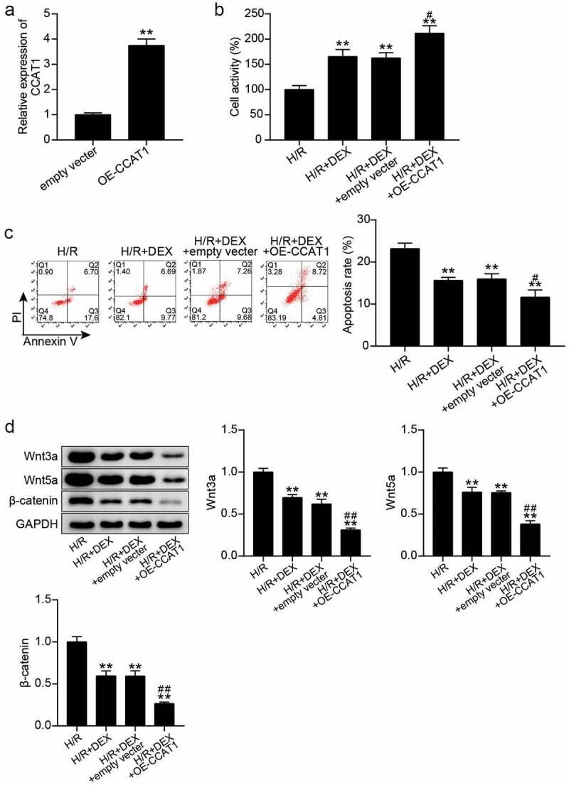 https://cdn.ncbi.nlm.nih.gov/pmc/blobs/5a4e/9275899/716c33e0655c/KBIE_A_2080420_F0003_OC.jpg
