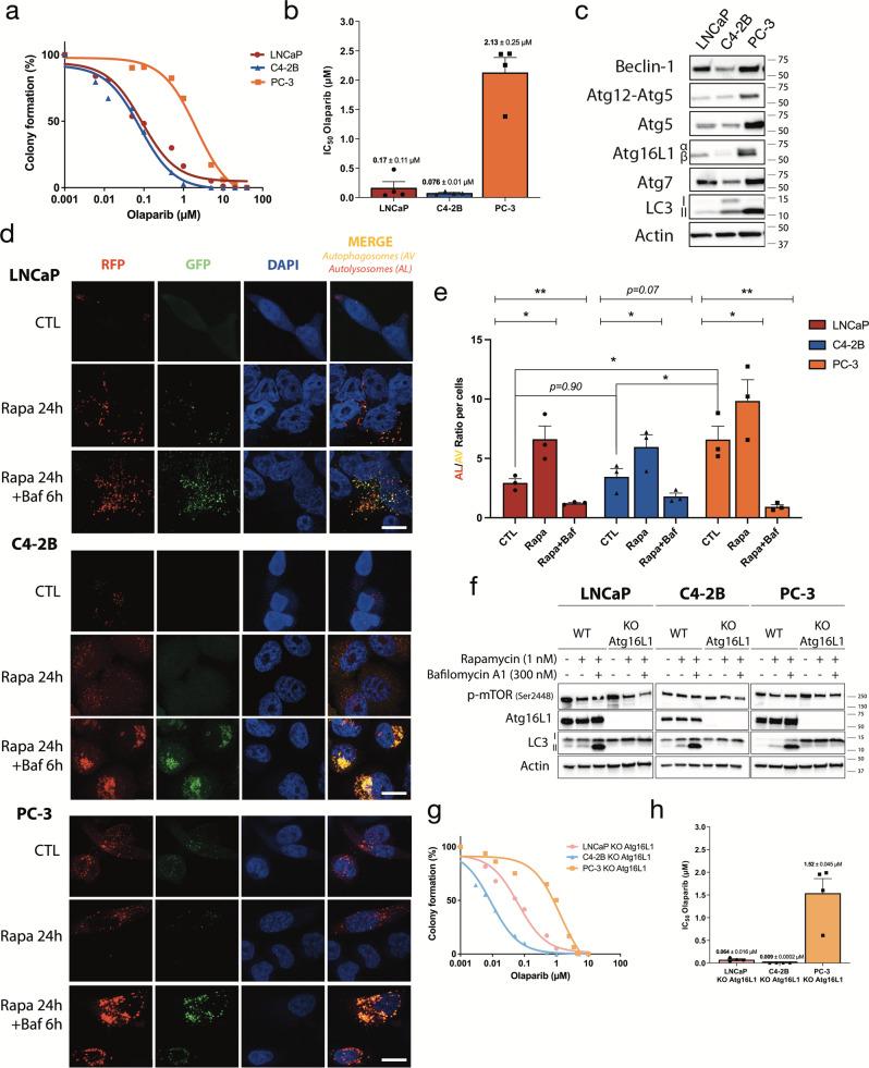 https://cdn.ncbi.nlm.nih.gov/pmc/blobs/5a4f/8940895/c73ec627c570/42003_2022_3210_Fig1_HTML.jpg