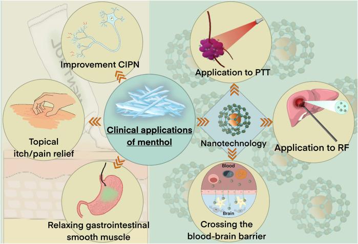 https://cdn.ncbi.nlm.nih.gov/pmc/blobs/5a50/10063798/c4fe6deac3bc/fphar-14-1148790-g004.jpg