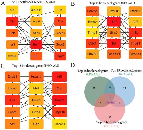 https://cdn.ncbi.nlm.nih.gov/pmc/blobs/5a50/12009320/29d8377e446e/41598_2025_98936_Fig7_HTML.jpg