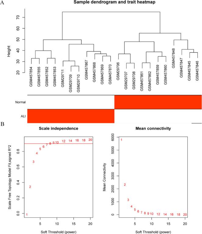 https://cdn.ncbi.nlm.nih.gov/pmc/blobs/5a50/12009320/4b4e4dd52d97/41598_2025_98936_Fig1_HTML.jpg