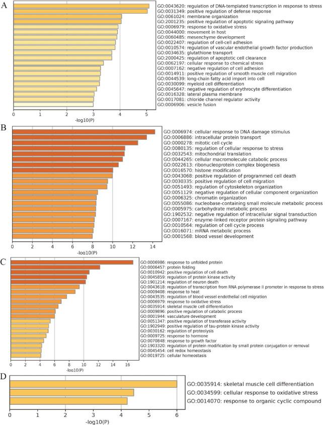 https://cdn.ncbi.nlm.nih.gov/pmc/blobs/5a50/12009320/5c4fcad5bbec/41598_2025_98936_Fig5_HTML.jpg