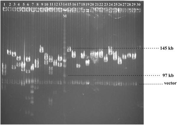 https://cdn.ncbi.nlm.nih.gov/pmc/blobs/5a52/8940289/0fab2b61142c/fbioe-10-854130-g001.jpg