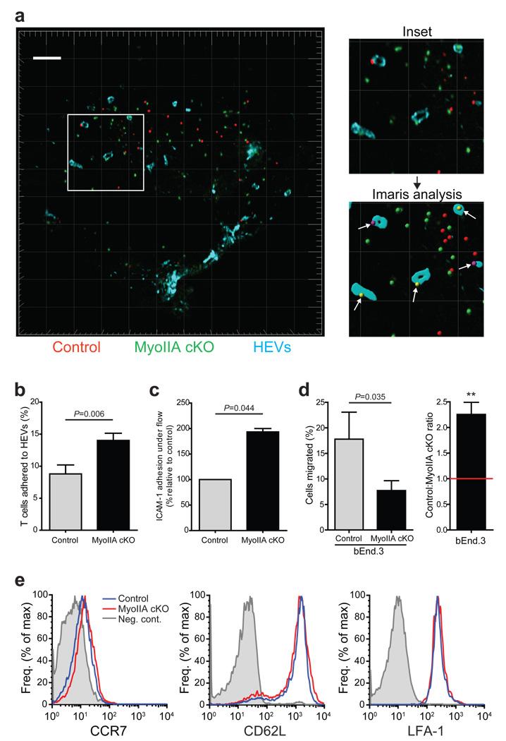 https://cdn.ncbi.nlm.nih.gov/pmc/blobs/5a53/2943564/2bc7d2d41bed/nihms229577f2.jpg