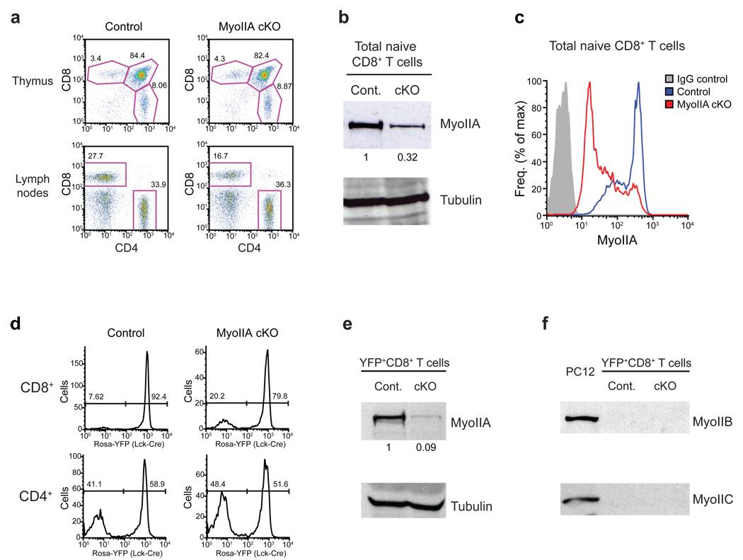 https://cdn.ncbi.nlm.nih.gov/pmc/blobs/5a53/2943564/8f068a1944ad/nihms229577f1.jpg