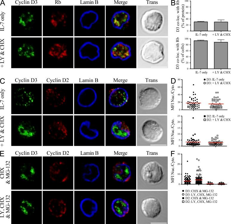 https://cdn.ncbi.nlm.nih.gov/pmc/blobs/5a54/3501354/3aafdc9931ca/JEM_20120800_Fig3.jpg