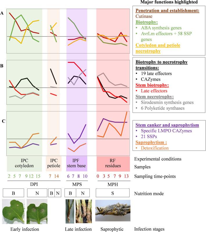 https://cdn.ncbi.nlm.nih.gov/pmc/blobs/5a55/7986464/afab3d760f31/12915_2021_989_Fig8_HTML.jpg