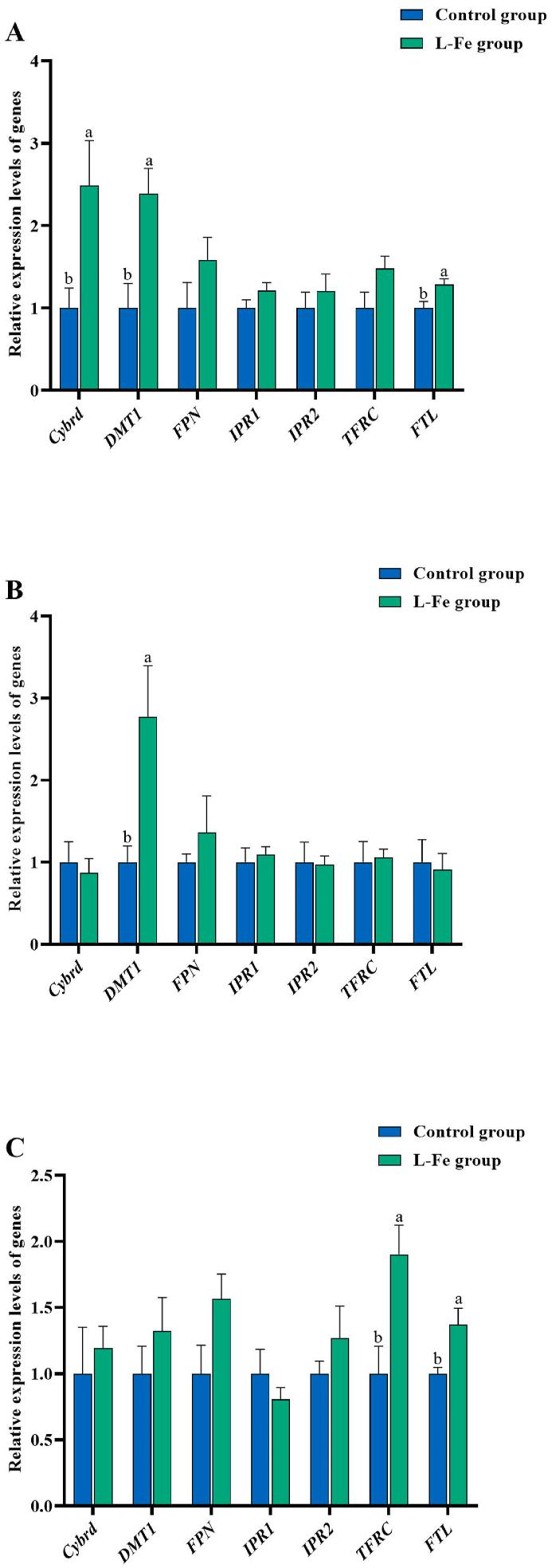 https://cdn.ncbi.nlm.nih.gov/pmc/blobs/5a56/11408940/450f5b4d79cd/gr1.jpg