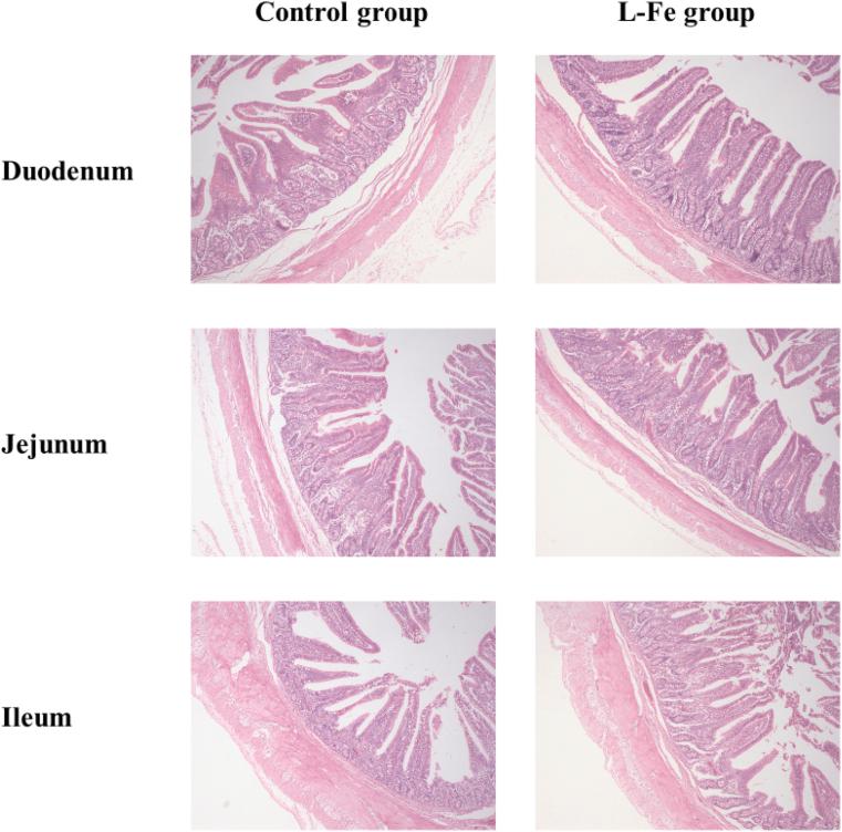 https://cdn.ncbi.nlm.nih.gov/pmc/blobs/5a56/11408940/df686772bcc1/gr2.jpg
