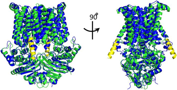 https://cdn.ncbi.nlm.nih.gov/pmc/blobs/5a56/11779740/cd4b022ed61e/PRO-34-e70039-g001.jpg