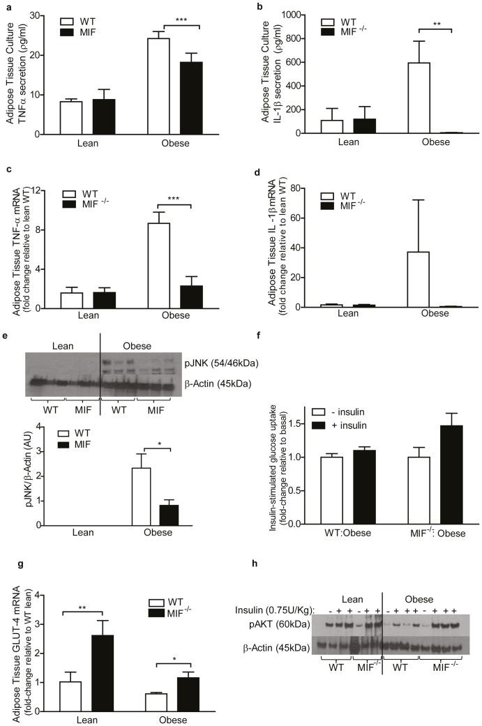https://cdn.ncbi.nlm.nih.gov/pmc/blobs/5a56/4239060/0eabb6061e50/pone.0113369.g003.jpg