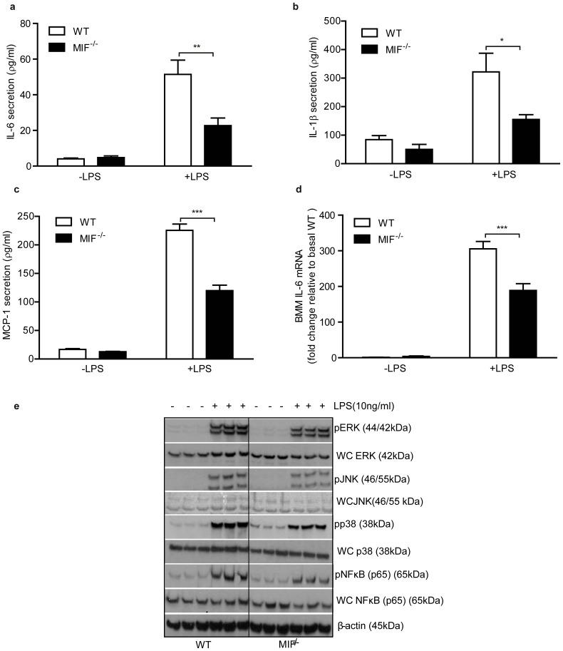https://cdn.ncbi.nlm.nih.gov/pmc/blobs/5a56/4239060/4b87cd3e20f5/pone.0113369.g004.jpg