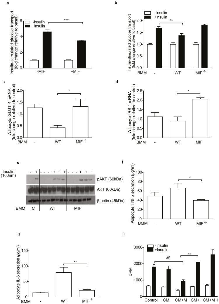 https://cdn.ncbi.nlm.nih.gov/pmc/blobs/5a56/4239060/6dace2ceb99c/pone.0113369.g005.jpg