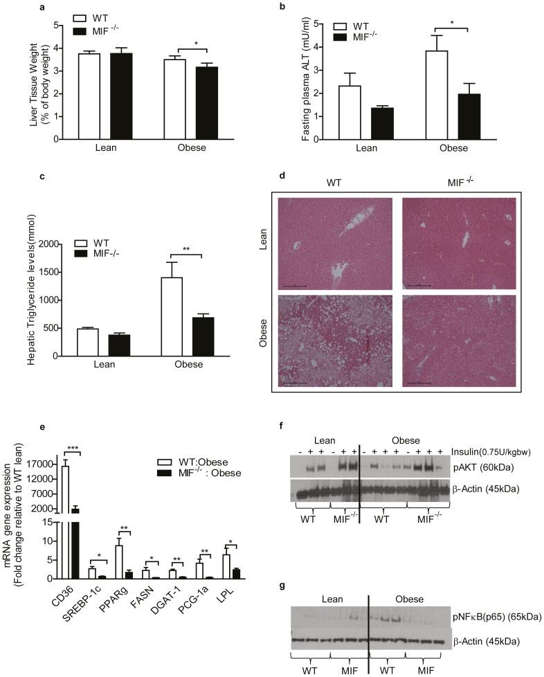 https://cdn.ncbi.nlm.nih.gov/pmc/blobs/5a56/4239060/86d61c58055f/pone.0113369.g006.jpg