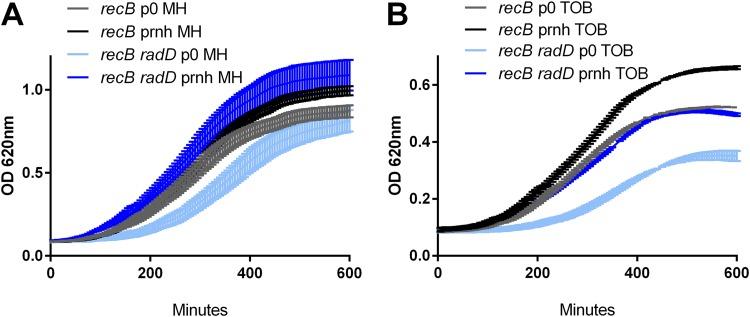 https://cdn.ncbi.nlm.nih.gov/pmc/blobs/5a57/6606805/804015d0f631/mBio.01173-19-f0003.jpg