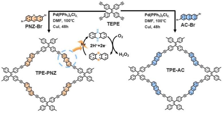 https://cdn.ncbi.nlm.nih.gov/pmc/blobs/5a58/11644149/07d4d01d61e0/polymers-16-03267-g015.jpg