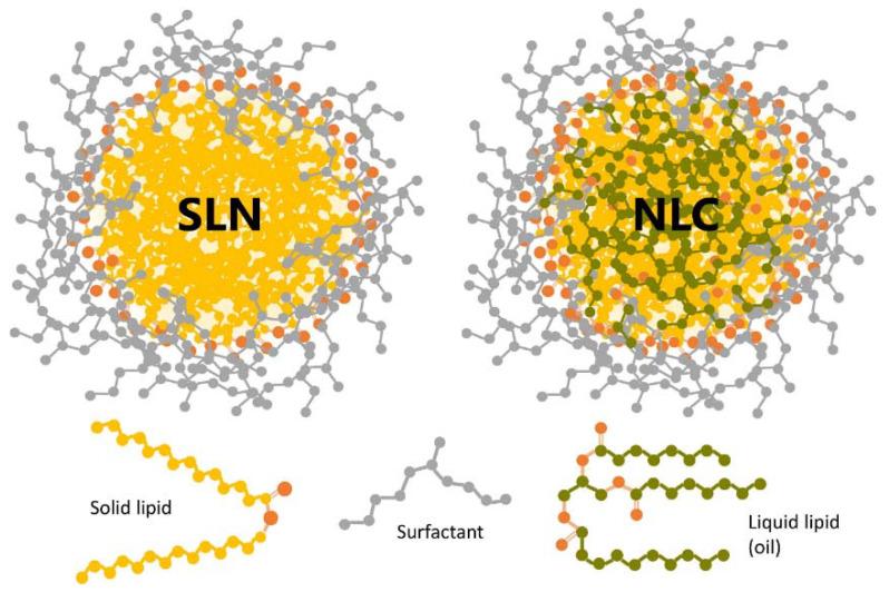 https://cdn.ncbi.nlm.nih.gov/pmc/blobs/5a58/8584570/36b9be3281cf/ijms-22-11991-g007.jpg