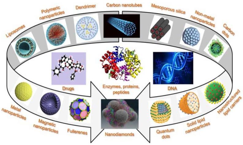 https://cdn.ncbi.nlm.nih.gov/pmc/blobs/5a58/8584570/73fdae14531e/ijms-22-11991-g006.jpg