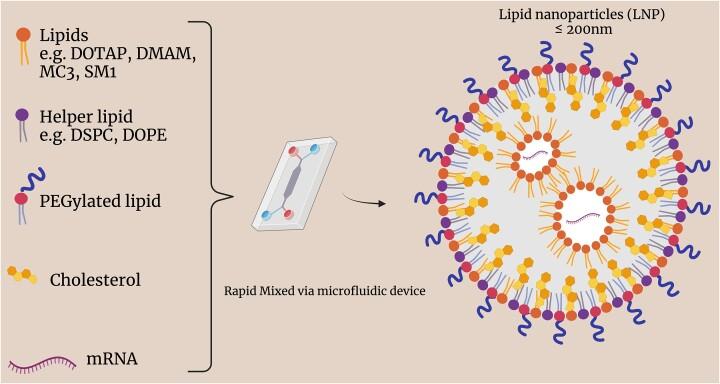 https://cdn.ncbi.nlm.nih.gov/pmc/blobs/5a5a/11336688/615c13fc6dcd/pbae017fig3.jpg