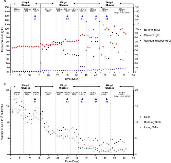 https://cdn.ncbi.nlm.nih.gov/pmc/blobs/5a5a/11780993/c325bf98e65a/12934_2025_2663_Fig1_HTML.jpg
